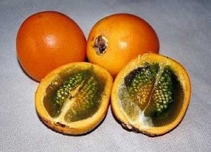 Плоды наранхиллы